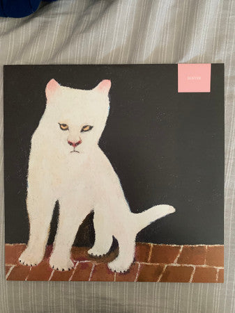 Duster (GHOULISH TRANSLUCENT VINYL) | Mint (M) Mint (M)