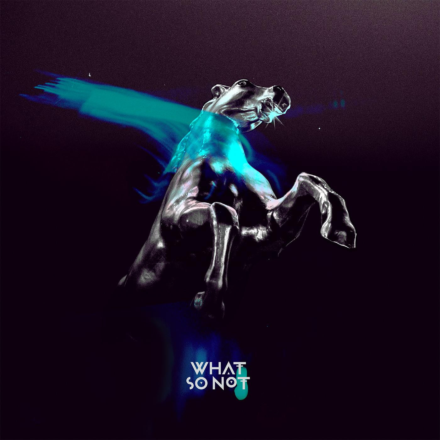 What So Not - Not All The Beautiful Things (CD) | Mint Mint - ELECTRONIC *NEW*