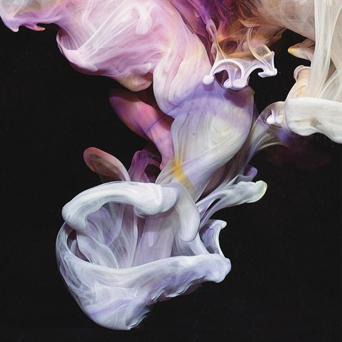 Simian Mobile Disco - Murmurations (CD) | Mint Mint - ELECTRONIC *NEW*