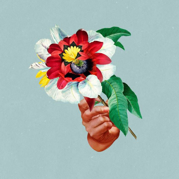 Maribou State - Kingdoms in Colour (CD) | - ELECTRONIC *NEW*