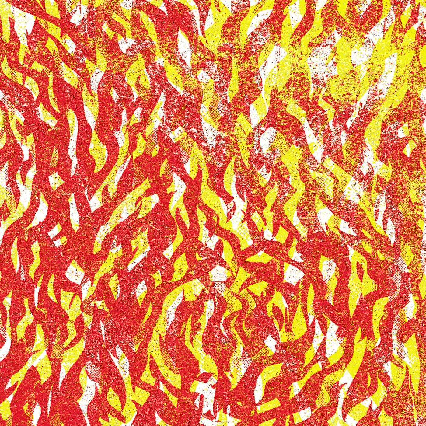 Bug, The - Fire (CD) | - ELECTRONIC *NEW*