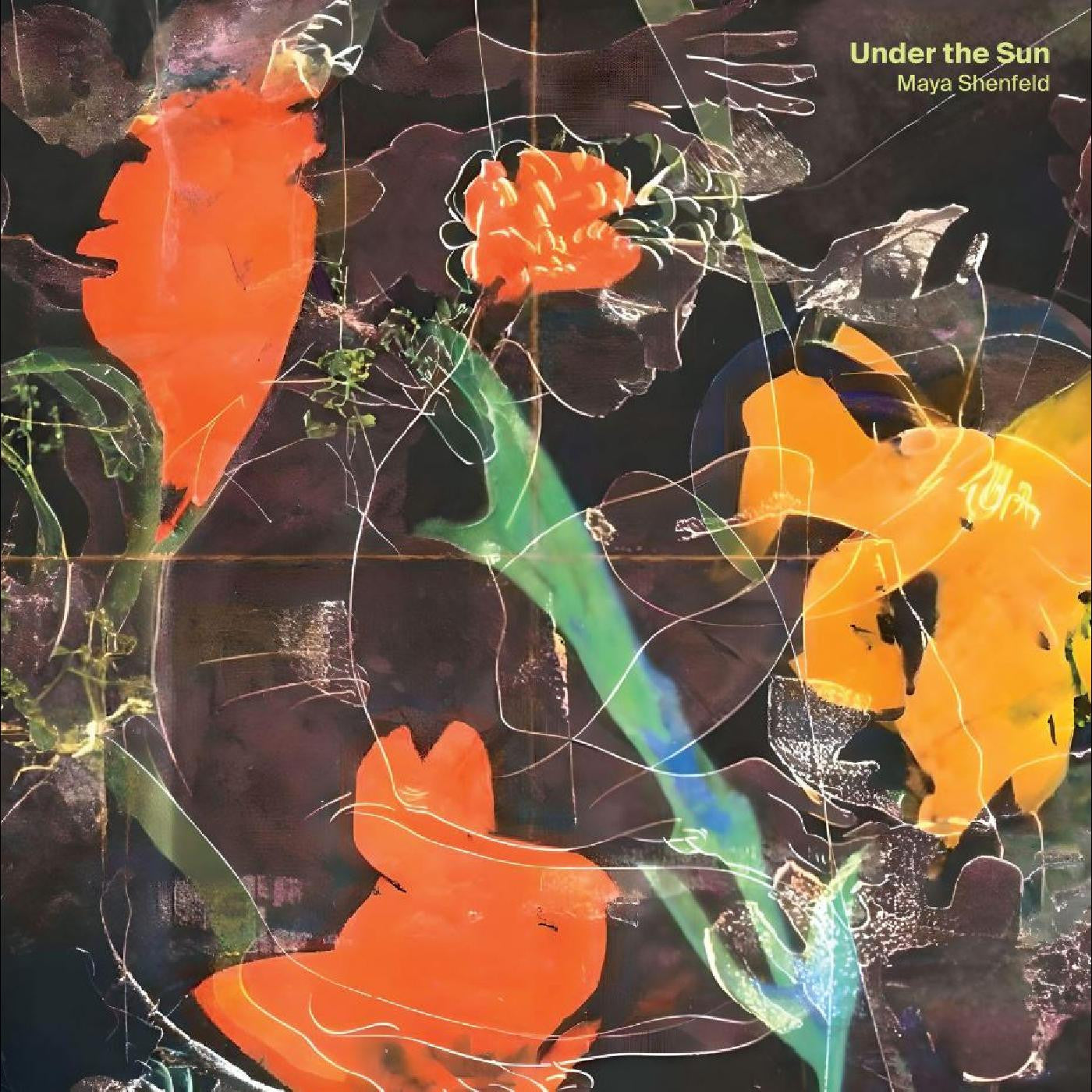 Shenfeld, Maya - Under the Sun (CD) | - ELECTRONIC *NEW*