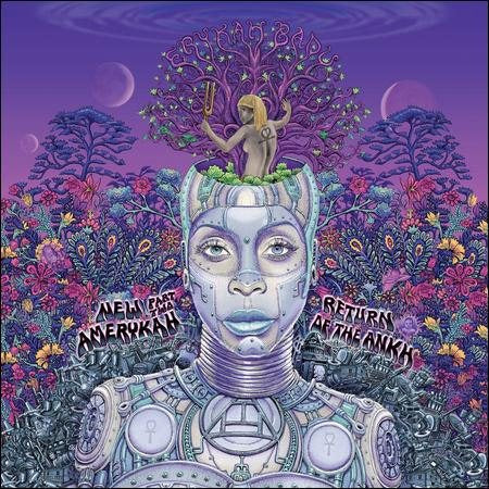 New Amerykah Part Two: Return of the Ankh (2 Lp's) |