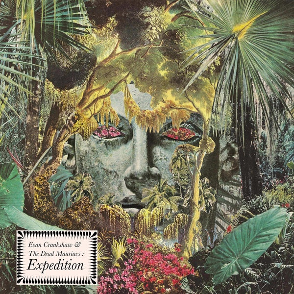 Expedition |