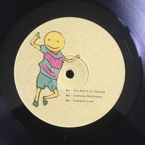 Imagine This Is A High Dimensional Space Of All Possibilities (2xVINYL) | Mint (M) Mint (M) - EXPERIEMENTAL *SEALED*