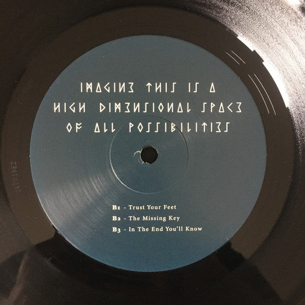 Imagine This Is A High Dimensional Space Of All Possibilities (2xVINYL) | Mint (M) Mint (M) - EXPERIEMENTAL *SEALED*