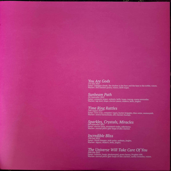 The Universe Will Take Care Of You (WHITE VINYL) | Mint (M) Mint (M) - EXPERIMENTAL *NEW/COLOR*