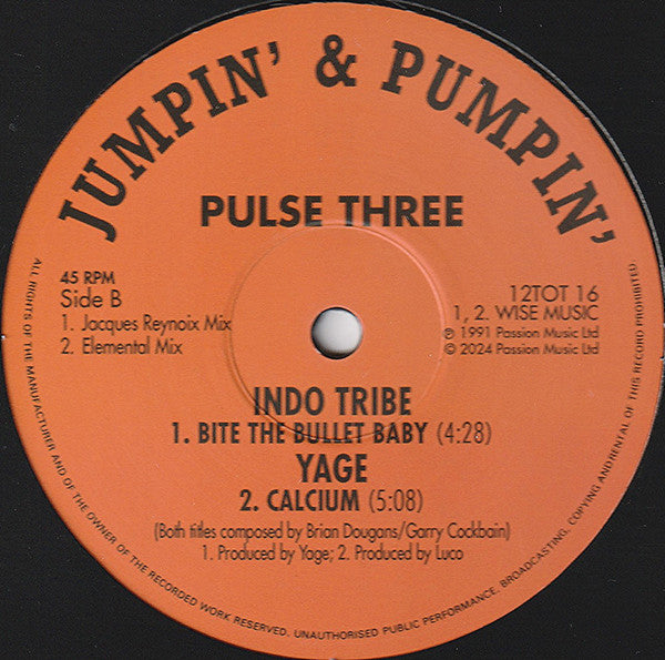 Pulse Three (VINYL) | Mint (M) Mint (M) - EXPERIMENTAL *NEW*