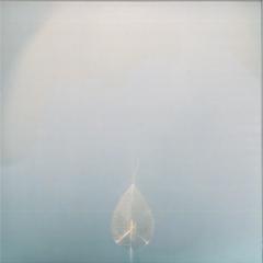Faith (VINYL) | Mint (M) Mint (M) - EXPERIMENTAL *NEW*
