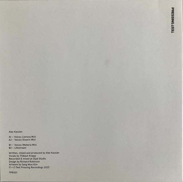 Voices (VINYL) | Mint (M) Mint (M) - EXPERIMENTAL *NEW*