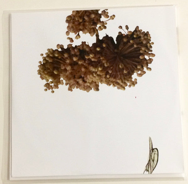 The Ape Of Naples | Mint (M) Mint (M) - EXPERIMENTAL *SEALED*