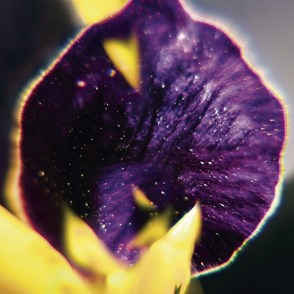 From Patterns To Details |