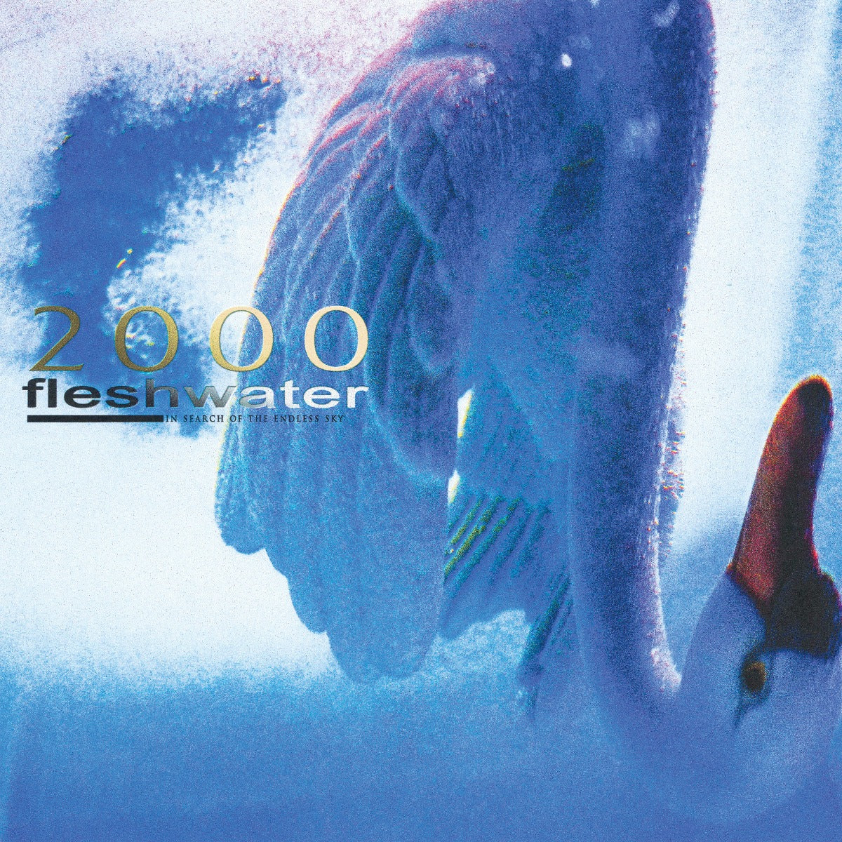 2000: In Search Of The Endless Sky (Indie Exclusive Fluorescent Pink Vinyl) |