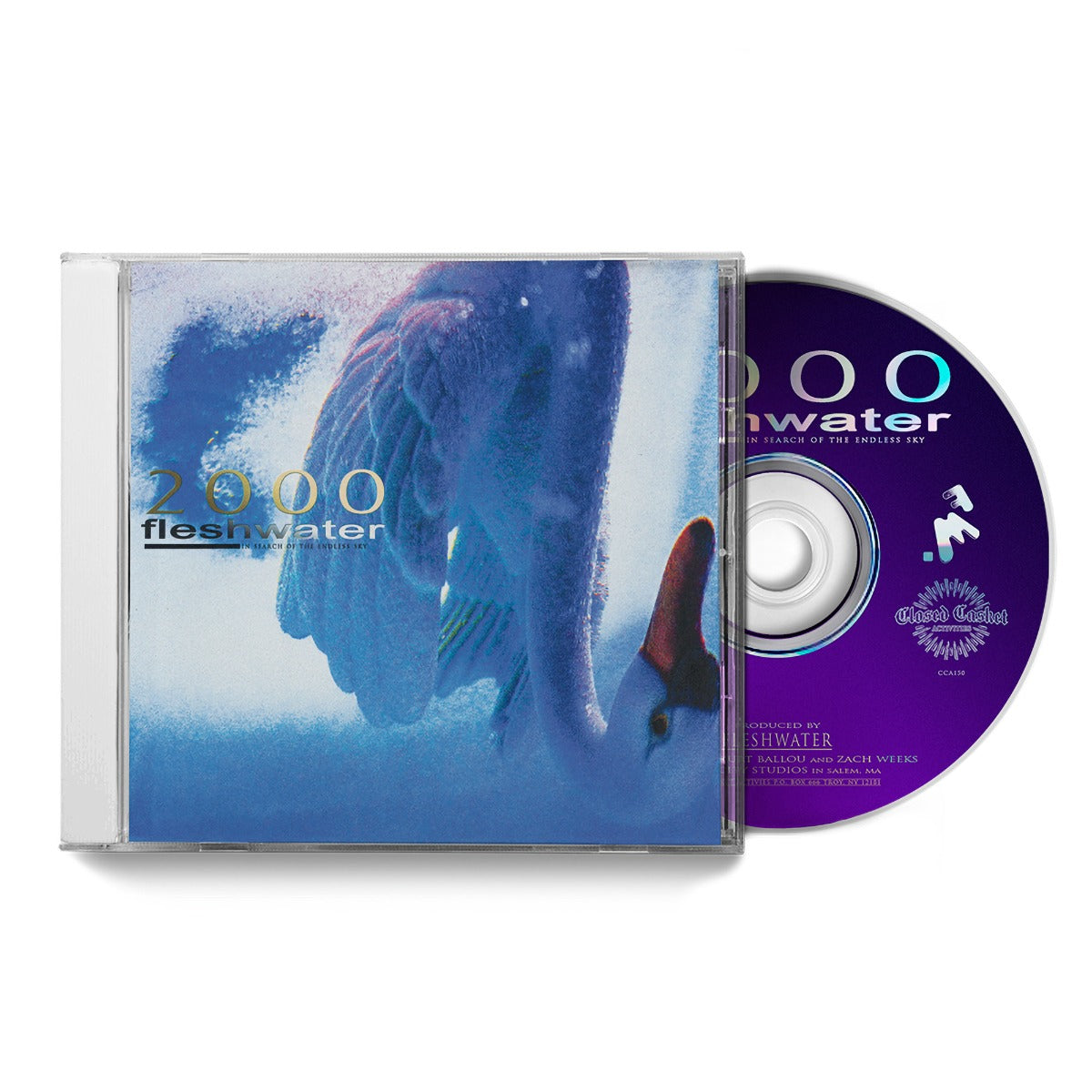 2000: In Search Of The Endless Sky |