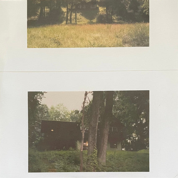 Florist | Mint (M) Mint (M) - FOLK *SEALED/COLOR*