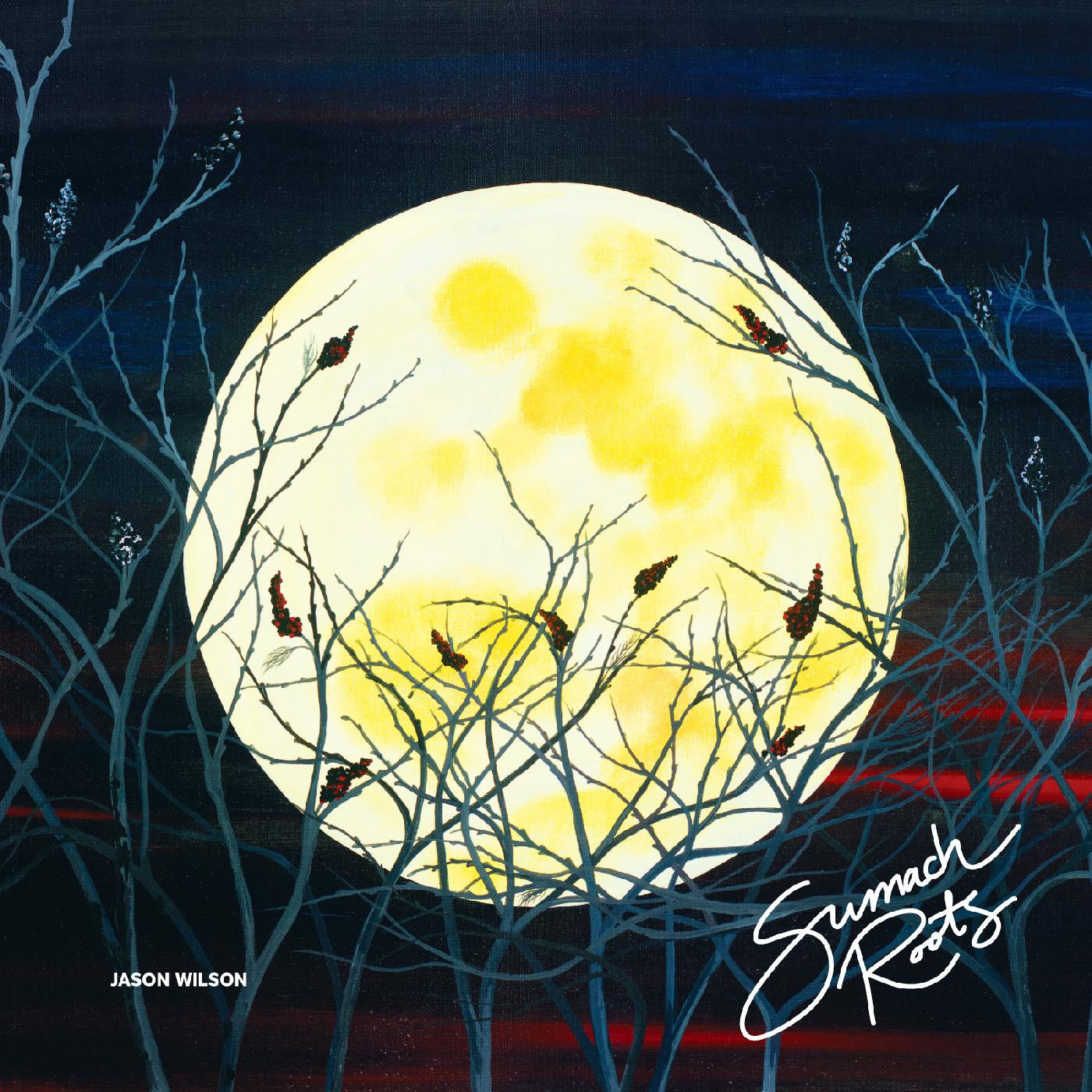 Wilson, Jason - Sumach Roots (CD) | Mint Mint - FOLK *NEW*