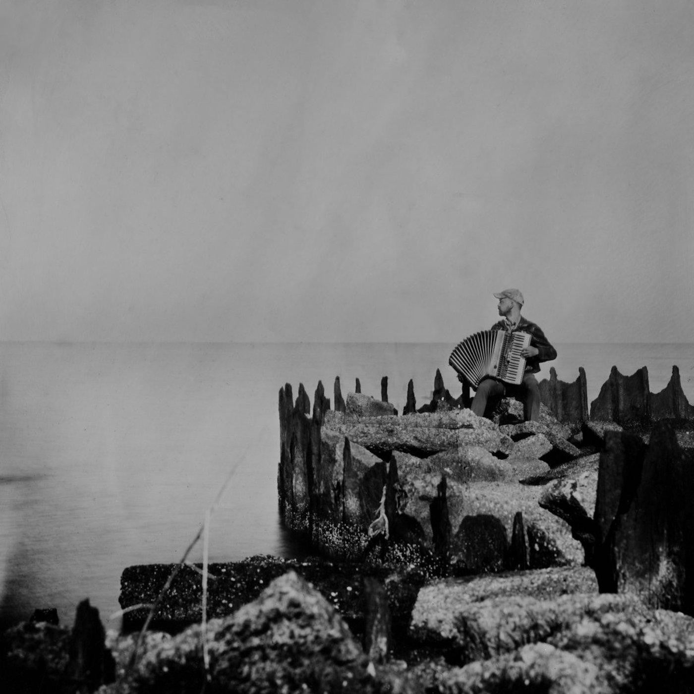 McClements, Walt - A Hole In The Fence | - FOLK *NEW*