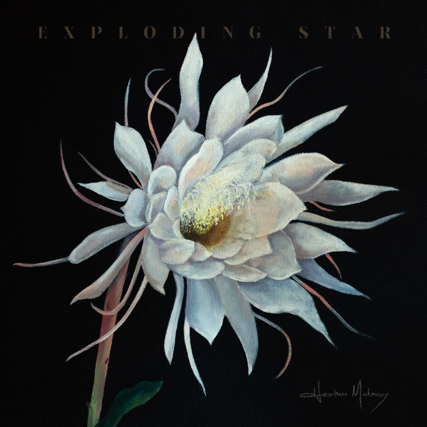 Maloney, Heather - Exploding Star (CD) | - FOLK *NEW*
