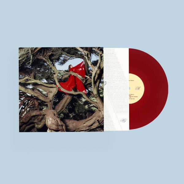 (PRE-ORDER 10/10/25) Nested In Tangles (Ruby Red Vinyl) | Mint (M) Mint (M) - FOLK *NEW*