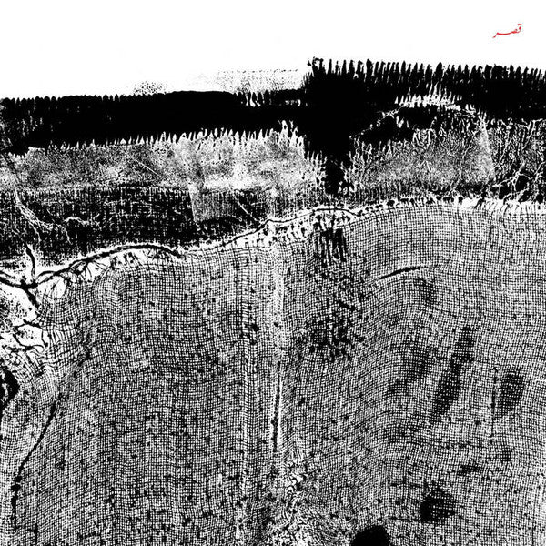 Qasr | Mint (M) Mint (M)