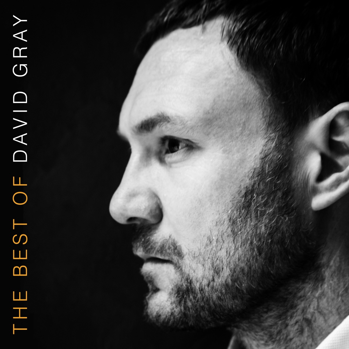 The Best Of David Gray (BEST BUY EXCLUSIVE | ORANGE VINYL) | Mint (M) Mint (M) - FOLK *SEALED/COLOR*