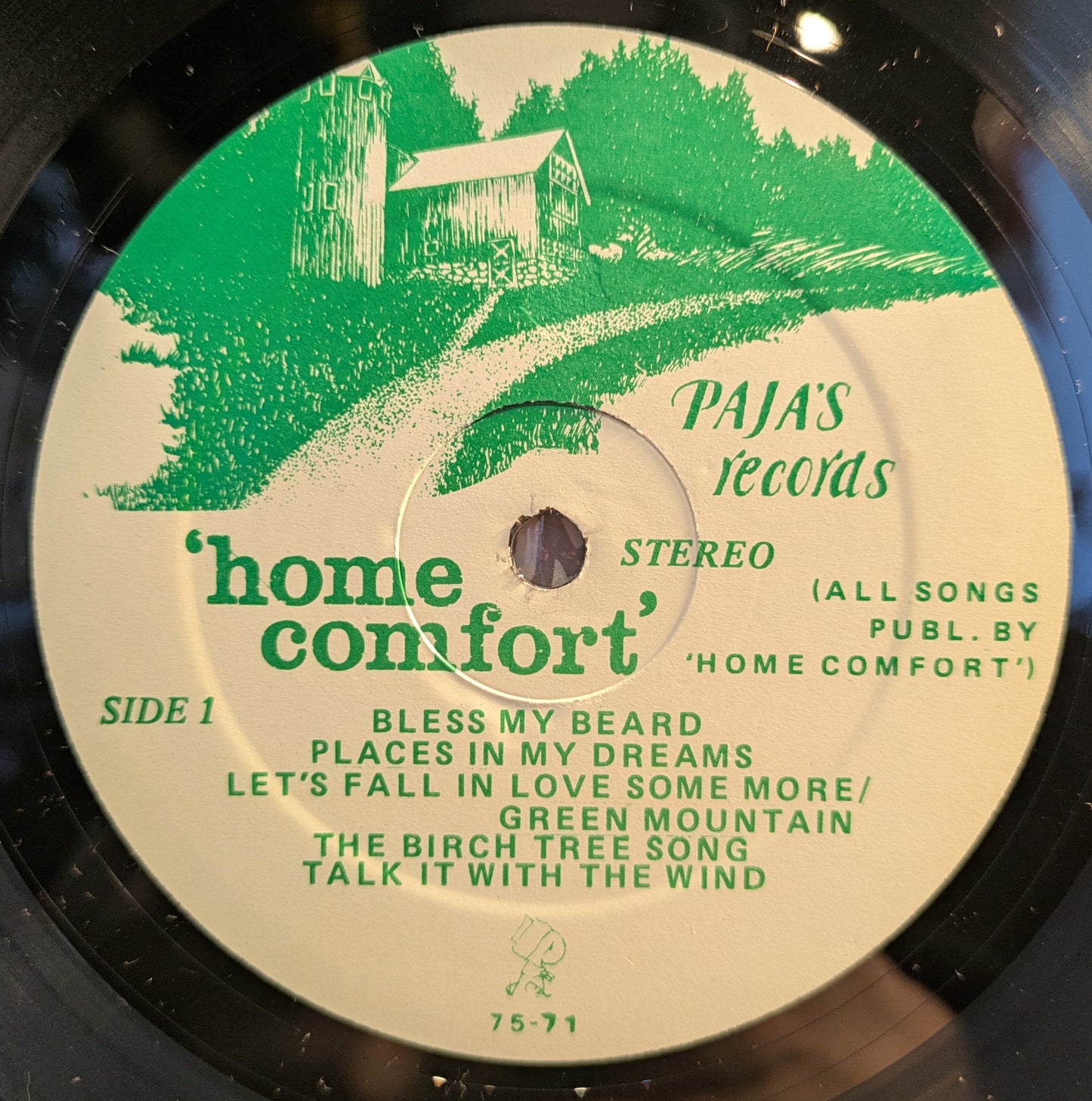 Old Strings - Old Songs (VINYL) | Excellent (EX) Near Mint (NM) - FOLK / USED *EXCELLENT*