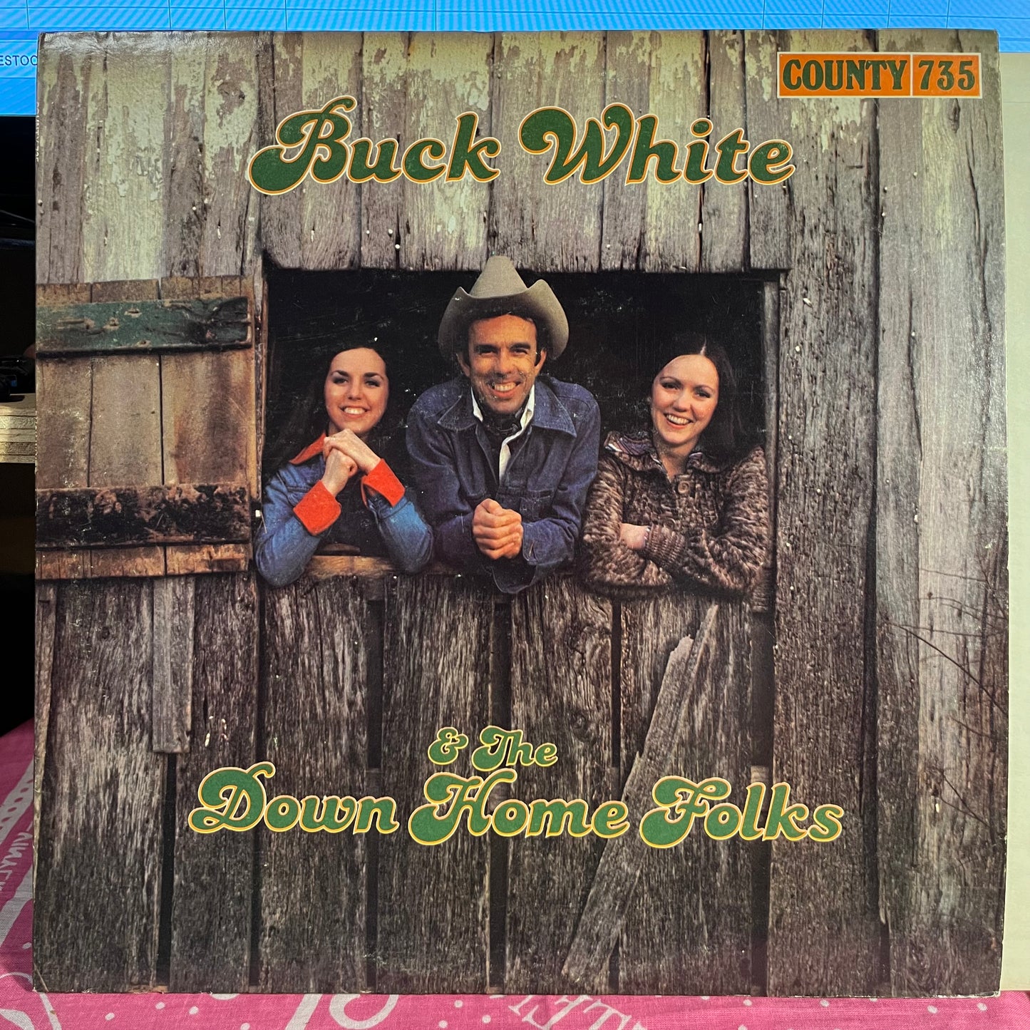 Buck White & The Down Home Folks | Near Mint (NM) Excellent (EX)