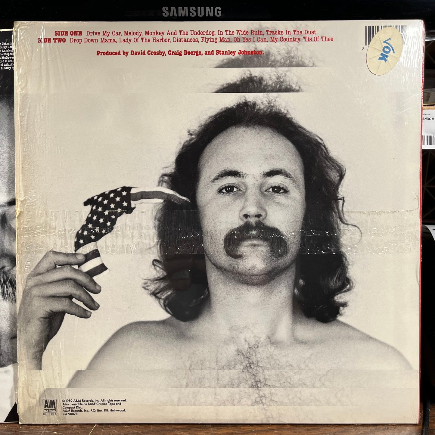 Oh Yes I Can (VINYL) | Near Mint (NM) Near Mint (NM) - FOLK / USED *NEAR MINT*