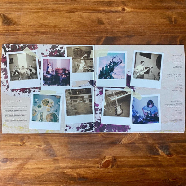 Boys | Mint (M) Mint (M) - FOLK *SEALED*