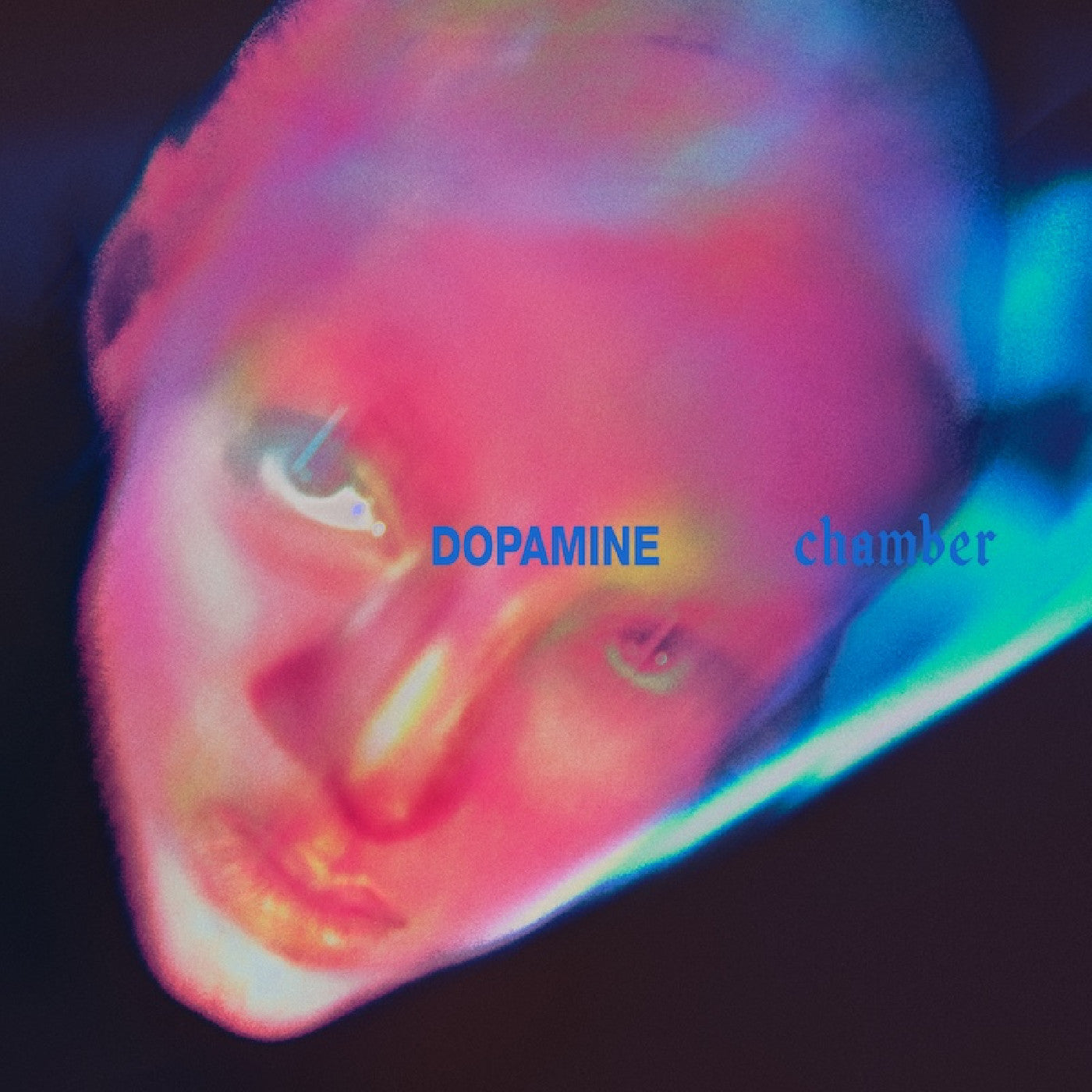 Fontaines D.C. - Dopamine Chamber |