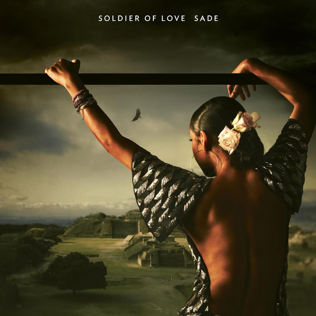 Sade - Soldier Of Love (Half-Speed Mastered, 180 Gram) (LP) | Mint (M) Mint (M) - FUNK *SEALED*