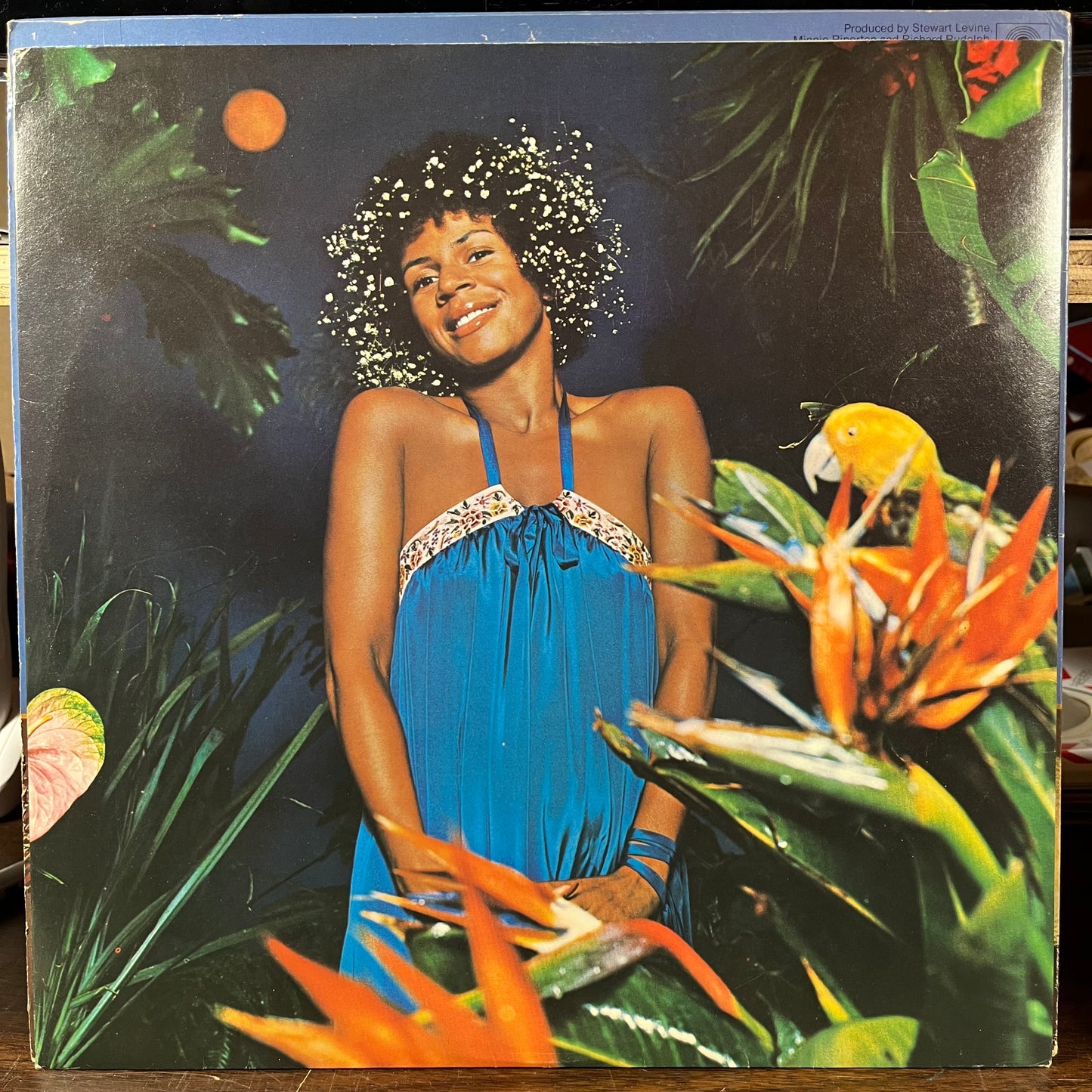 Adventures In Paradise (VINYL) | Very Good (VG) Excellent (EX) - FUNK / USED *VERY GOOD*