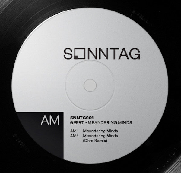 Meandering Minds EP | Mint (M) Mint (M) - TECHNO/DUB *NEW*