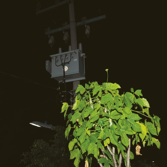 Down On Darkened Meetings | Mint (M) - EXPERIMENTAL *NEW*