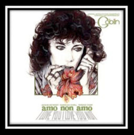 Amo Non Amo |