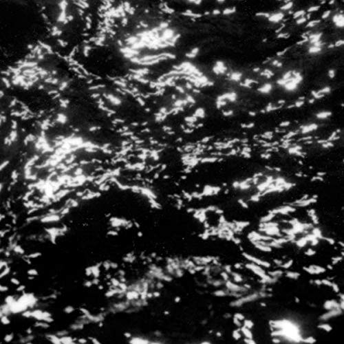 GROUPER - AIA: Dream Loss (VINYL LP Kranky KRANK223) | NEW - AMBIENT *NEW*