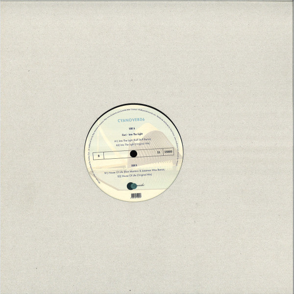Into The Light | Mint (M) Mint (M) - DEEP HOUSE