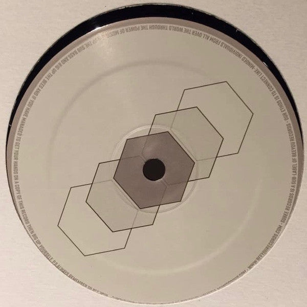 Andrenidae EP | Mint (M) Generic - MINIMAL
