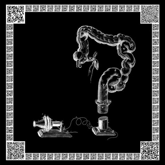 Choreological Exchanges (VINYL) | - EXPERIMENTAL *NEW*