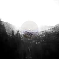 Can't Feel Born | Mint (M) Mint (M) - ALT/INDIE *SEALED/COLOR*