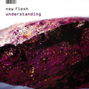 New Flesh - Understanding (CD) | Mint Mint - HIP HOP *NEW*