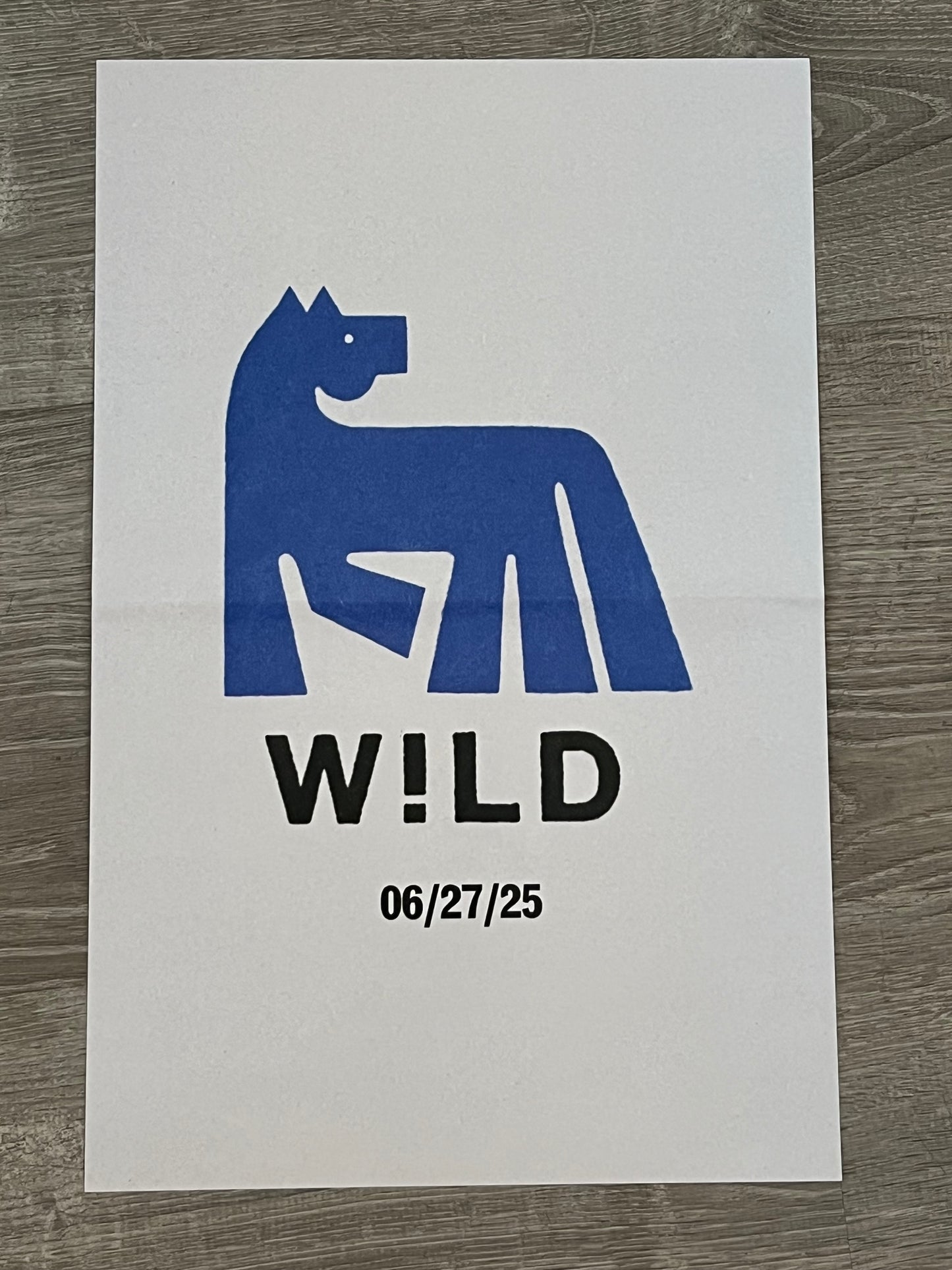 WILD! (11x17" POSTER) | Mint (M) Mint (M) - HIP HOP *NEW*