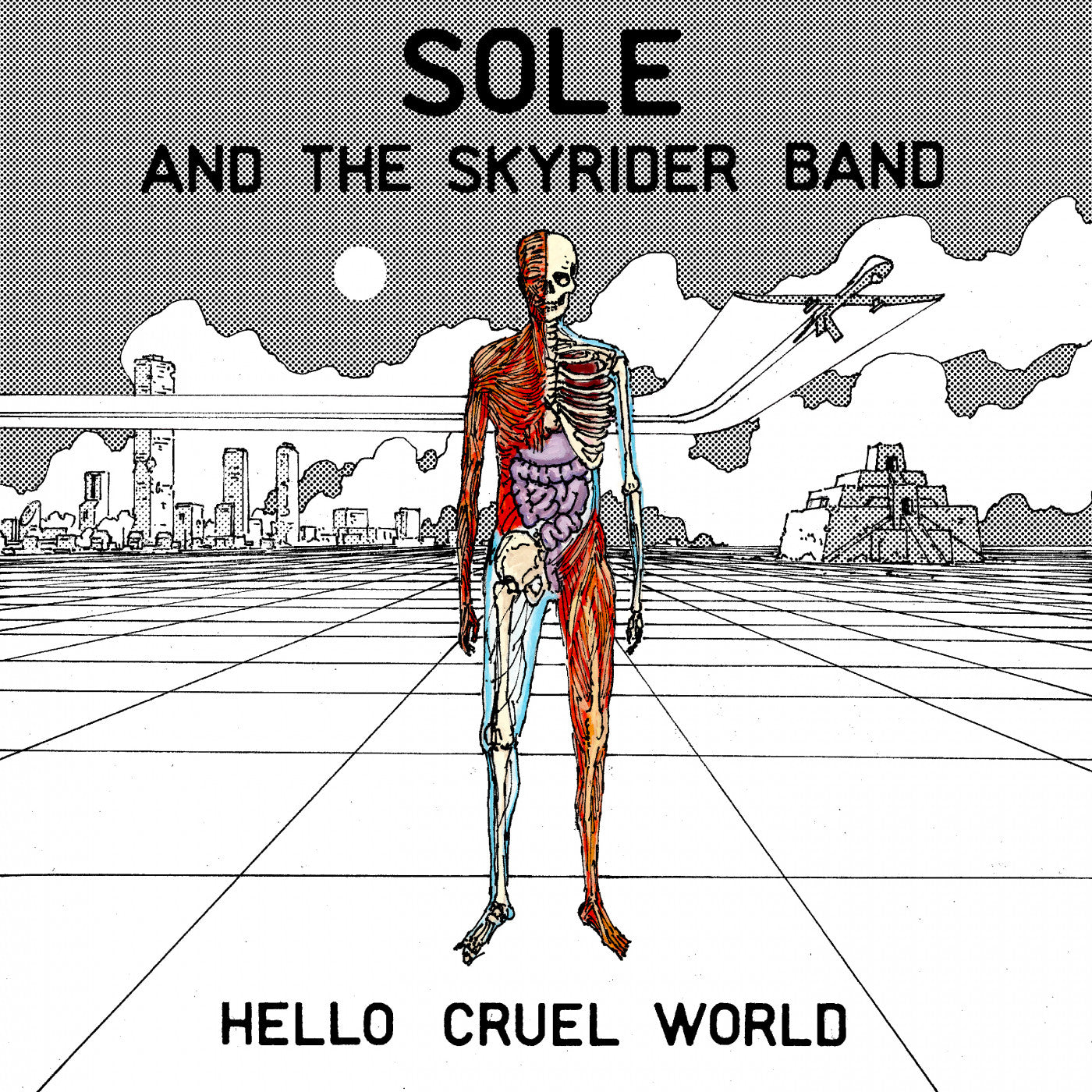 Sole And The Skyrider Band - Hello Cruel World (CD) | - HIP HOP *NEW*