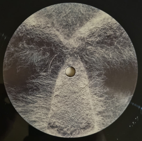 Born Like This (2xVINYL) | Near Mint (NM or M-) Near Mint (NM or M-) - HIP HOP/RAP / USED *NEAR MINT*