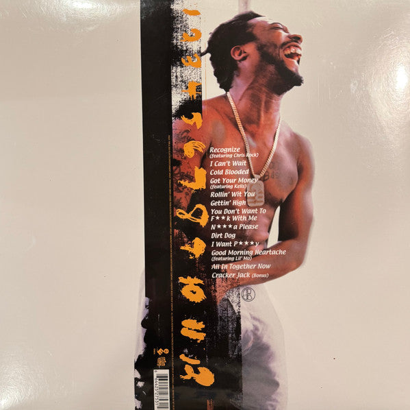 N***a Please (2xVINYL) | Mint (M) Mint (M) - HIP HOP *SEALED*