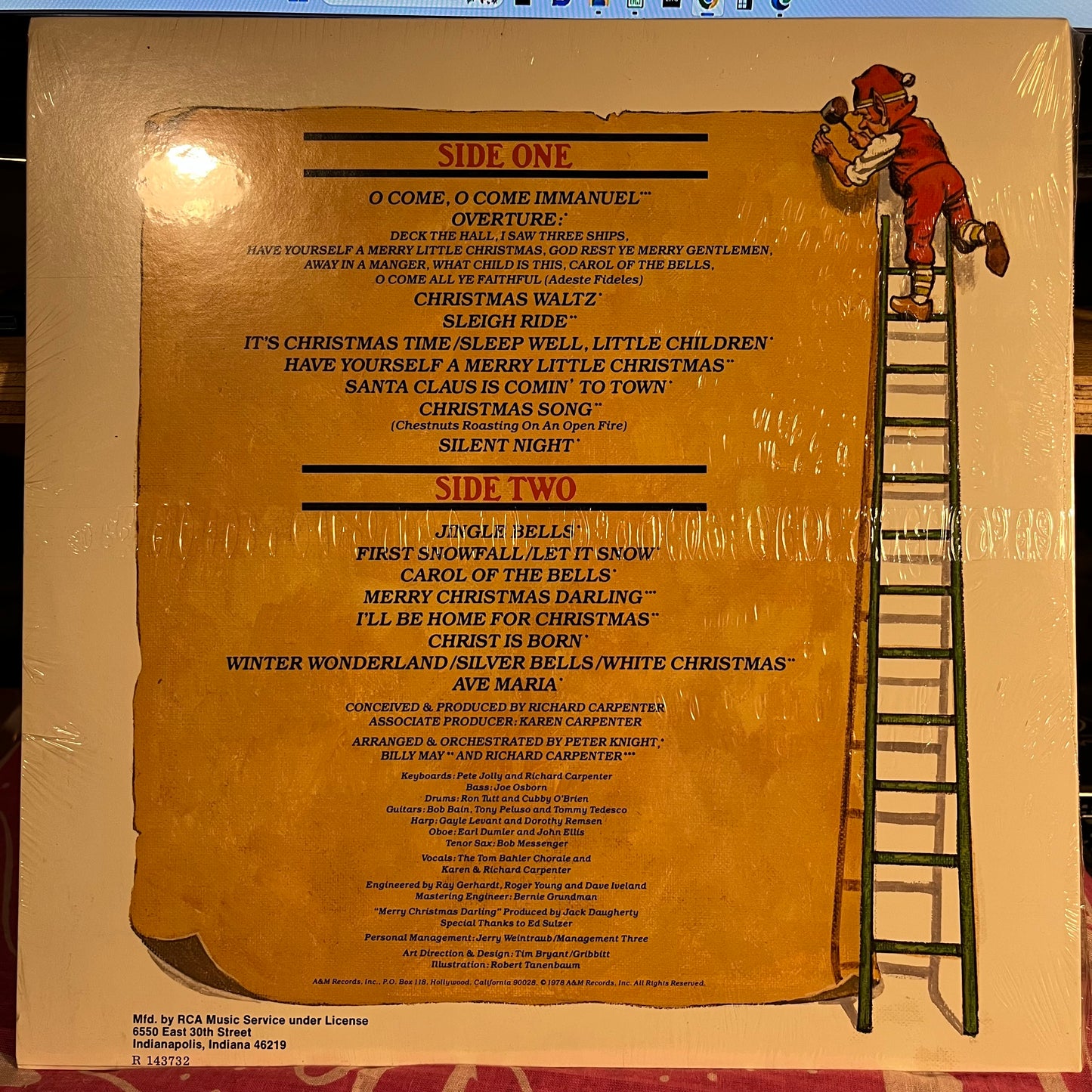 Christmas Portrait | Mint (M) Mint (M)