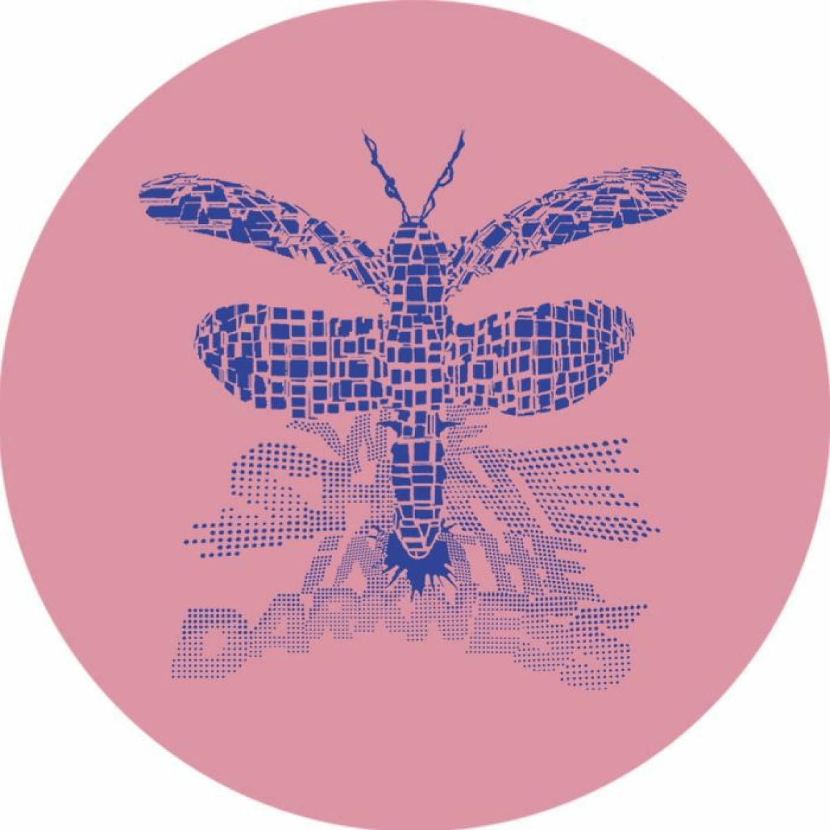 Julian Sanza / Lafrench Toast - (PRESALE 09/21/26) Beachball (VINYL 12" We Shine In The Darkness WSV003 2026) | NEW - HOUSE/DISCO *NEW*