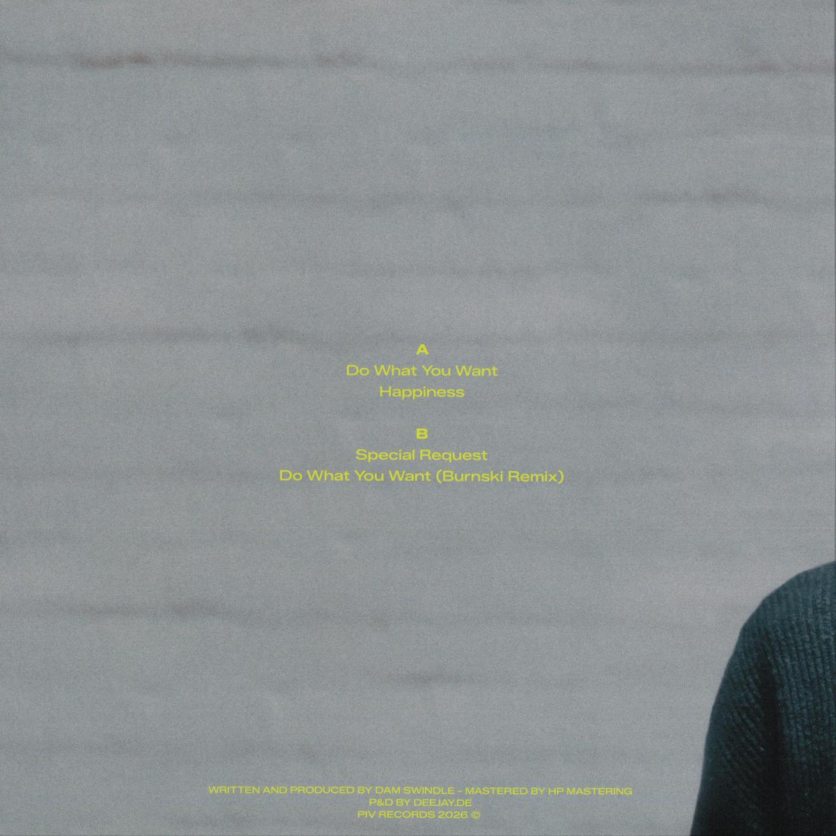 Dam Swindle - Do What You Want (VINYL 12" PIV PIV081 2026) | NEW - HOUSE *NEW*