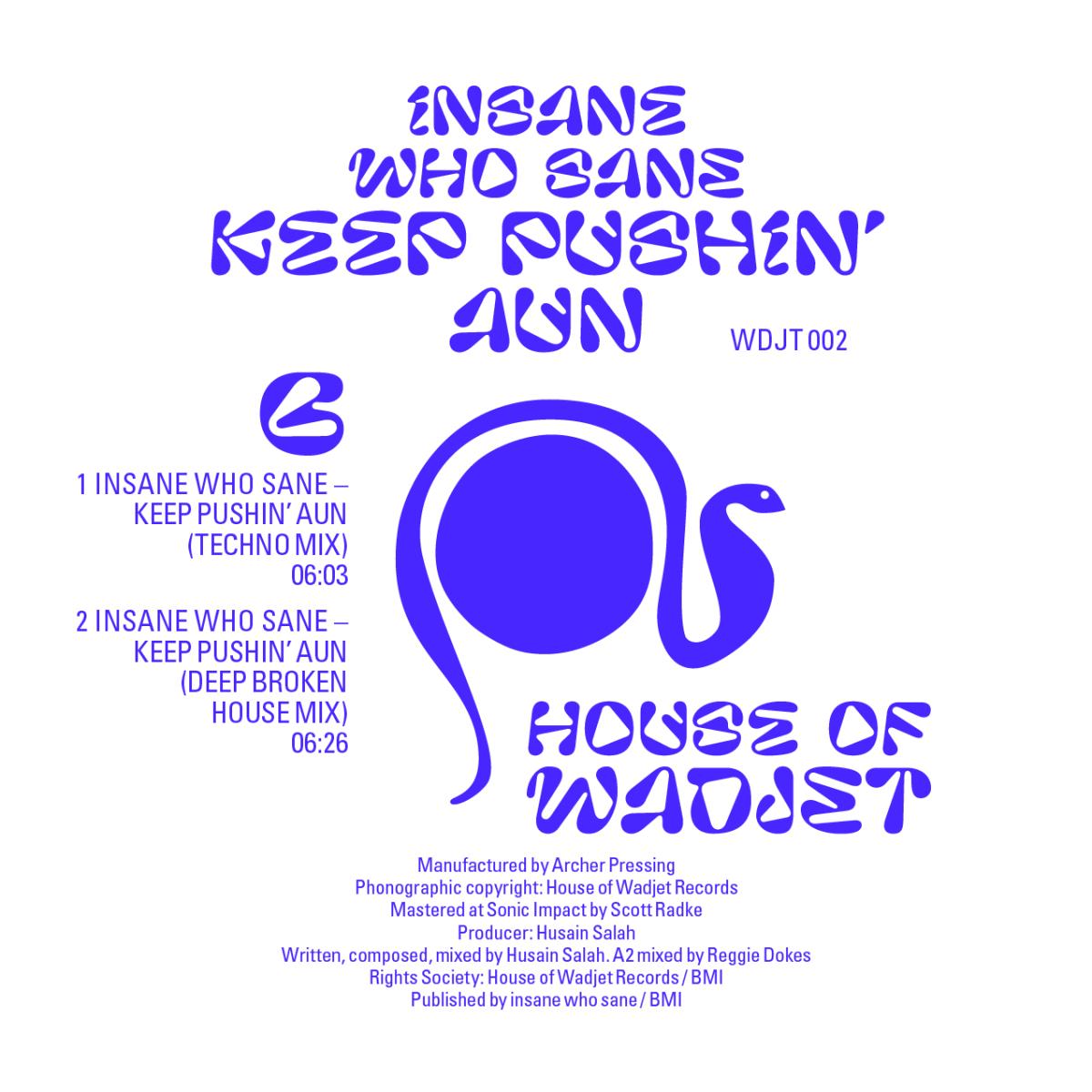 Insane Who Sane - Keep Pushin’ Aun (VINYL 12" House Of Wadjet WDJT002 2026) | NEW - HOUSE *NEW*