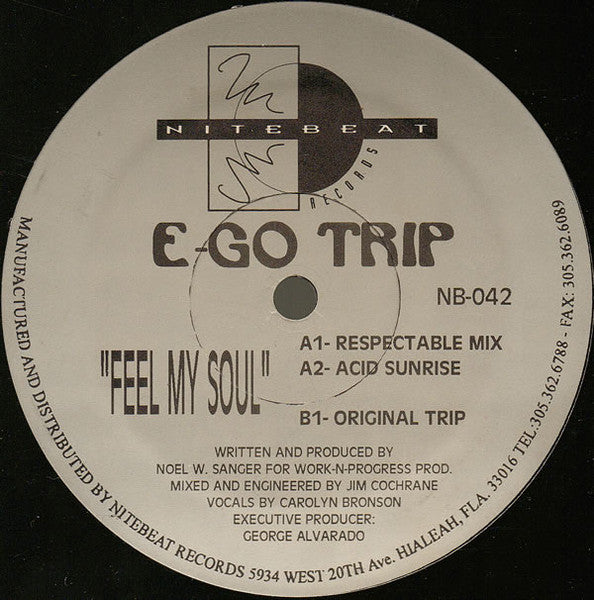 Feel My Soul (12" VINYL) | Excellent+ (EX+) Generic - HOUSE / USED *EXCELLENT+*